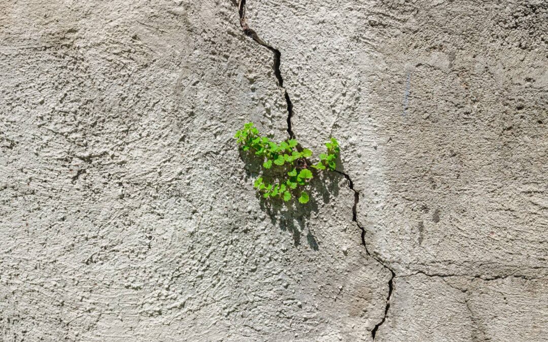 How to Protect Concrete From Hot Weather Damage on Ontario Job Sites